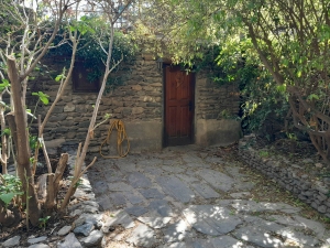 Ibogaine and iboga centre Madera Sagrada, Spain, Europe